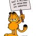 Garfield_MPX